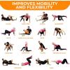 imageactivelife  HighRoller Ergonomic and Elevated Foam Roller Muscle Roller For Physical Therapy and Exercise Deep Tissue Muscle Massage Leg Massager and Foam Roller for Back